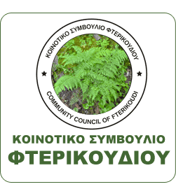 Κοινοτικό Συμβούλιο Φτερικουδιού